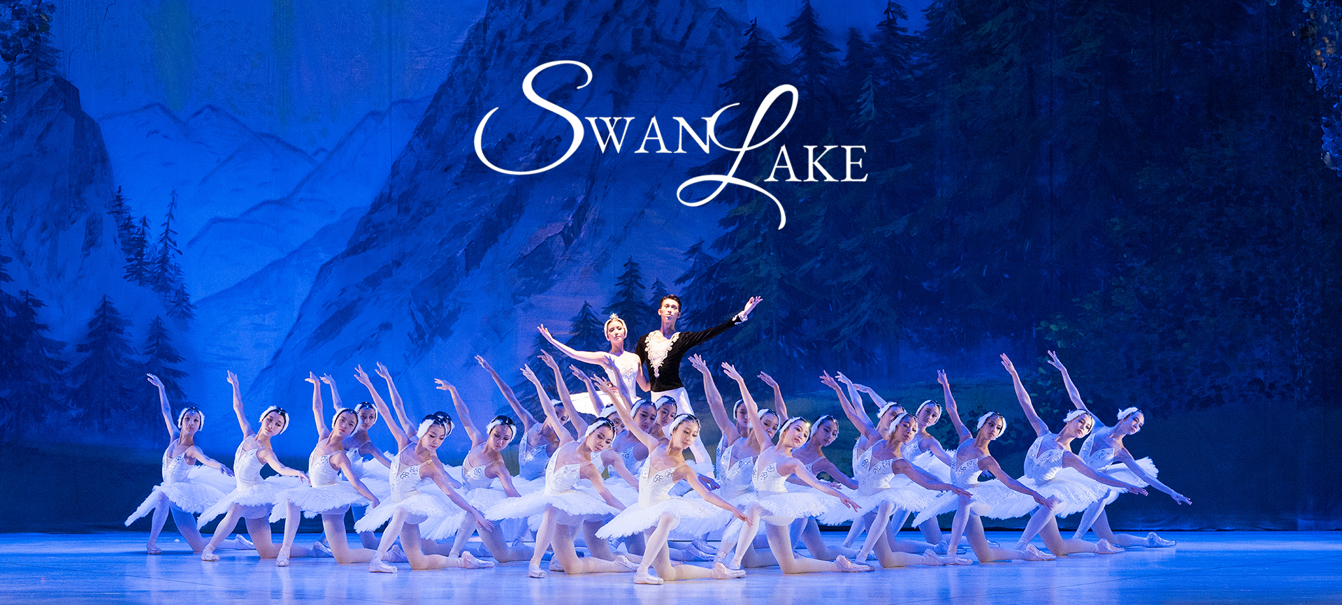 SWAN LAKE 2024